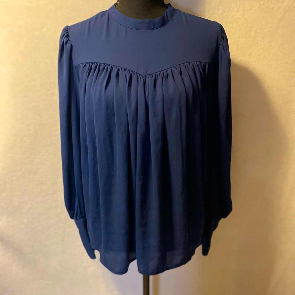 Express Blouse.  Blue Balloon Sleeves.  Fabric Covered  4 Button Cuffs